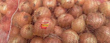 Цибуля на Одещині подорожчає ще більше