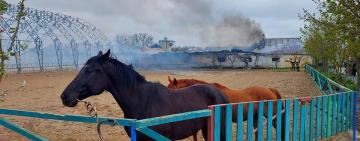 НА ОДЕЩИНІ ЛІКВІДУВАЛИ ПОЖЕЖУ В ПРИВАТНІЙ КОНЮШНІ: ДЕТАЛІ