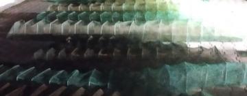 Ловив рибу на одеському морвокзалі: на чоловіка з 40 ятерами склали адмінпротокол