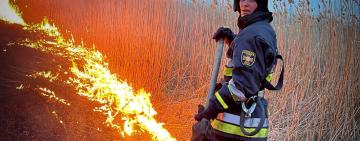 Понад 500 пожеж сухої рослинності  виникло від початку року на Одещині