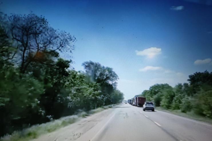 Медики Одещини поскаржилися на «оленів» на дорозі (відео)