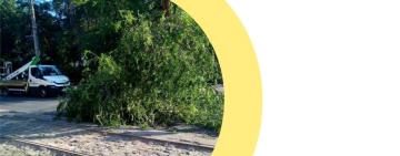 В Одеській області 13 населених пунктів знеструмлено через негоду