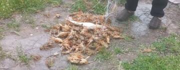 Браконьєр винен державі 566 695 грн