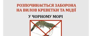 В Одеській області набула чинності заборона на вилов креветки та мідії
