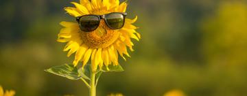 ЧЕРВЕНЬ-2023: які свята чекають на українців