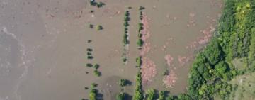 На Херсонщині  виявлені холера та кишкова паличка