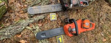 Мешканець Білгород-Дністровського району може сісти на п’ять років за 11 дерев