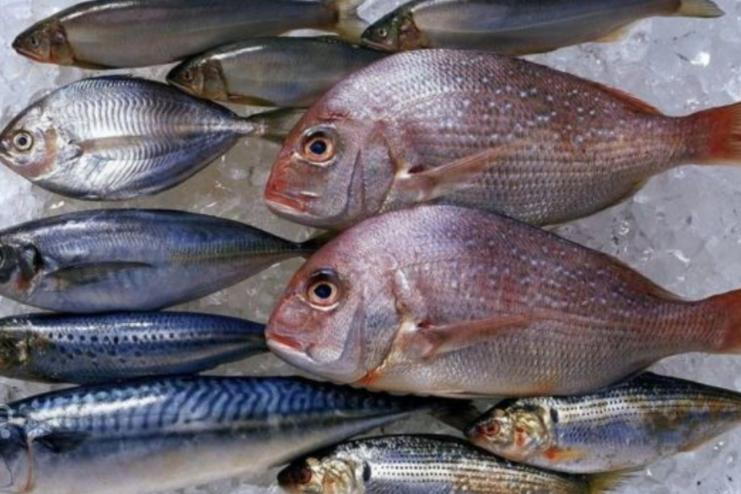 На рік одеситам варто забути про купання у морі та вживання місцевих морепродуктів