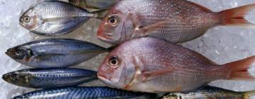 На рік одеситам варто забути про купання у морі та вживання місцевих морепродуктів