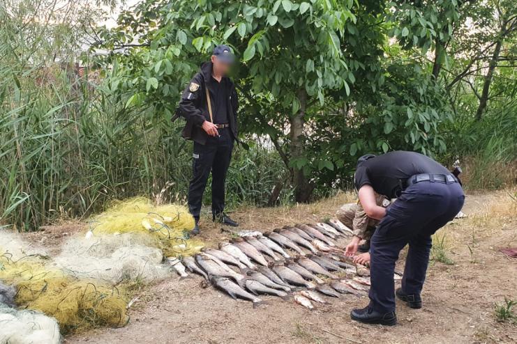 На Дунаї затримали мешканця Кілії з уловом майже на 150 тисяч гривень
