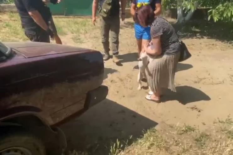 На Одещині у військового вкрали чотирилапого друга і вимагали кошти за повернення (відео)