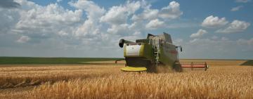 Аграрії Одещини намолотили перші 100 тисяч тонн зерна
