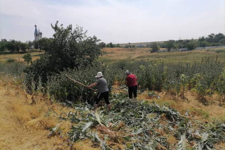 СУСПІЛЬНО КОРИСНІ РОБОТИ В ПАВЛІВСЬКІЙ ГРОМАДІ