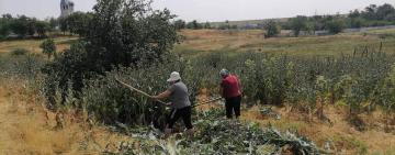 СУСПІЛЬНО КОРИСНІ РОБОТИ В ПАВЛІВСЬКІЙ ГРОМАДІ