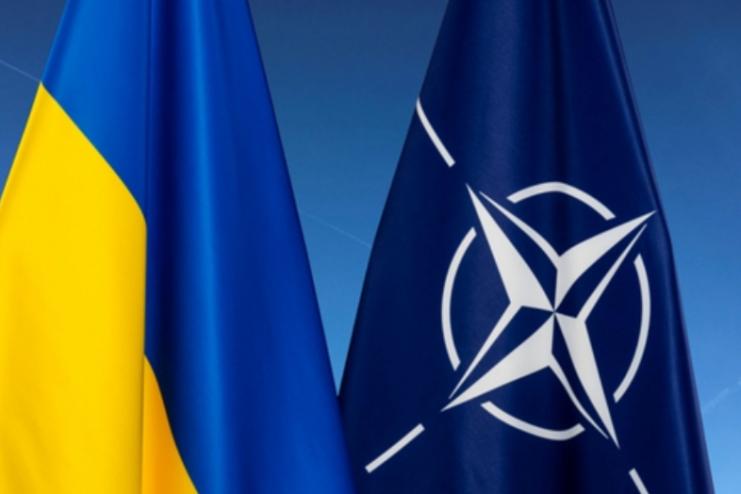 Україну можуть прийняти в НАТО без ПДЧ: посол США розповіла про перспективи вільнюського саміту