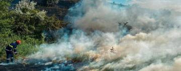 На Одещині вигоріло 95 000 кв.м. природних екосистем та сухої рослинності