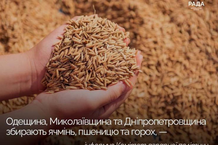 Одещина, Миколаївщина та Дніпропетровщина збирають ячмінь, пшеницю та горох