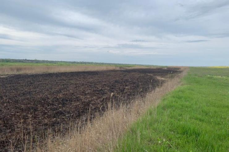 Палія з Татарбунарської громади відправили на лаву підсудних: знищено вогнем 1,5 га земельних угідь