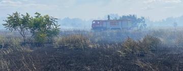 ДВІ МАСШТАБНІ ПОЖЕЖІ НА ОДЕЩИНІ: ВОГНЕБОРЦІ ВКОТРЕ ЗАКЛИКАЮТЬ ЛЮДЕЙ БУТИ ВІДПОВІДАЛЬНИМИ!
