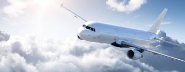 Угорська авіакомпанія примусово зняла з рейсу українського ветерана з ампутованою ногою