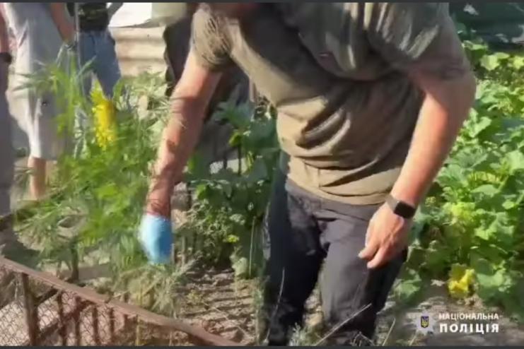 Мешканка Одещини ховала коноплі серед городини,- Нацполіція