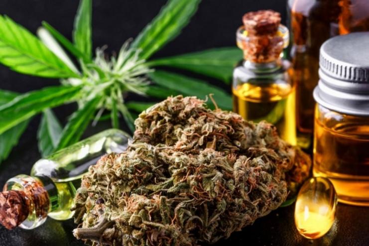 МОЗ закликає парламент підтримати законопроєкт про медичний канабіс