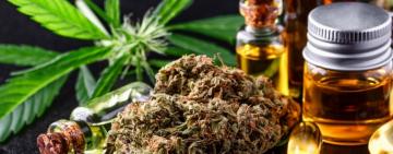 МОЗ закликає парламент підтримати законопроєкт про медичний канабіс