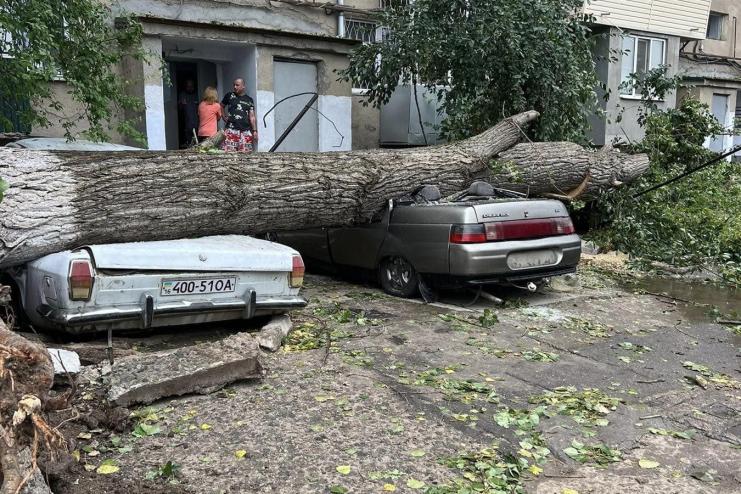 Повалені дерева, почавлені авто, зірвані дахи, і пів міста без електрики: Кілія оговтується після нічної стихії (фото)