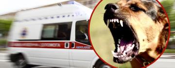 За декілька днів – три виклики: медики «швидкої» рятували дітей Одещини після укусів собак