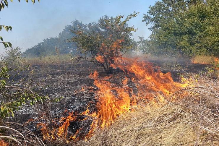 На Одещині хлопець намагався самостійно загасити палаючу траву та отримав опіки