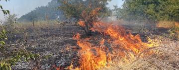 На Одещині хлопець намагався самостійно загасити палаючу траву та отримав опіки