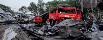 Війська РФ знищили 70% потужностей  агропідприємства на Одещині – Алла Стоянова