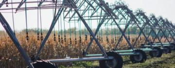 Японія готова допомогти Одещині з модернізацією зрошувальних систем на рисових полях