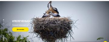 Передай інформацію про гніздо – захисти лелек: ДТЕК Одеські електромережі запустив нову функцію на сайті