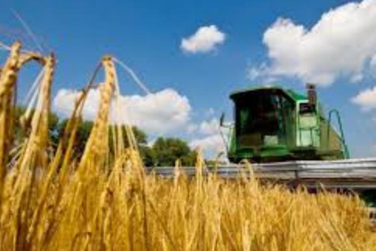 Аграрії намолотили 11 млн 224 тис. тонн зерна нового врожаю, —  Комітет аграрної політики