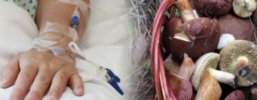 В Ізмаїлі жінка отруїлася грибами – вона у реанімації 