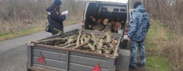На Одещині 27-річний чоловік відповість у суді за порубку дерев на території Нацпарку