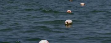 Протимінні сітки на пляжах Одеси: що про їх безпеку кажуть екологи та військові