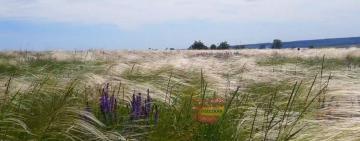 На Одещині з'явився новий національний парк