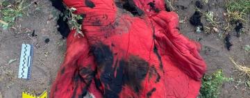 Житель Одещини вчинив розбійний напад, зґвалтував та намагався вбити односельчанку