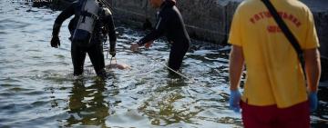 НА ОДЕЩИНІ ПІД ЧАС КУПАННЯ ПОТОНУВ 19-РІЧНИЙ ХЛОПЕЦЬ