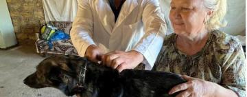 На Одещині безкоштовно провакцинували від сказу більше 200 домашніх тварин