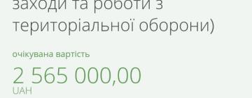 Одна з селищних рад Одеської області виділила 2 мільйони гривень на закупівлю дронів