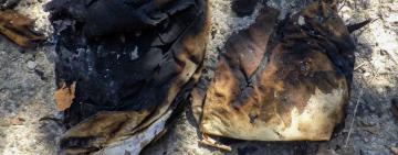 Житель Білгород-Дністровського району побив та пів доби утримував запертою односельчанку