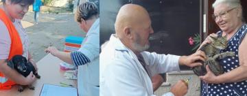 На Одещині триває кампанія з проведення заходів профілактики сказу тварин