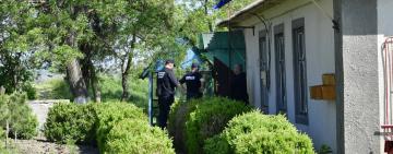 Видавав квитки на рубку дерев у Нацпарку: на Одещині припинено злочинну діяльність директора філії Держпідприємства