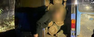 ЧИ ПОКАРАЮТЬ ЧОРНИХ ЛІСОРУБІВ?