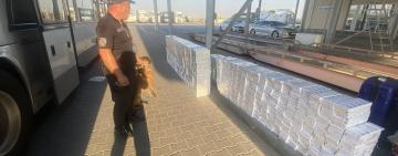  В автобусі до Бухареста вівчарка допомогла прикордонникам виявити майже 17 тисяч пачок контрабандних цигарок