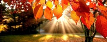 Головні зміни жовтня-2023: зимовий час, увімкнені фари, зменшені  штрафи для ФОПів  та військовий облік жінок