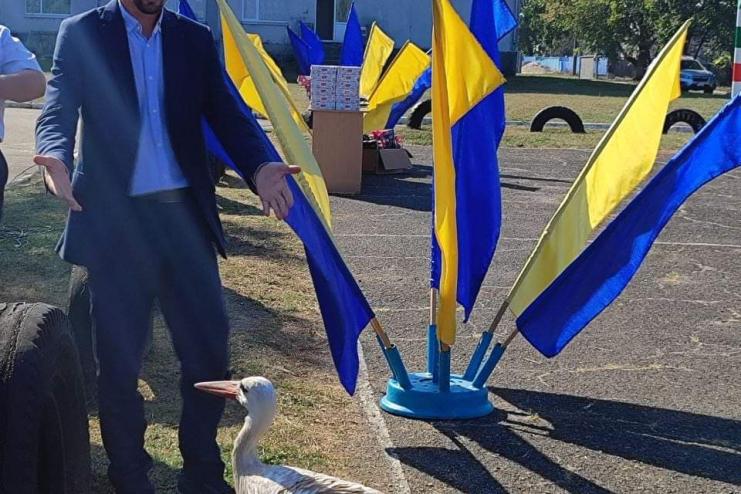 Відомий мирнопільський лелека знайшовся на Дніпропетровщині